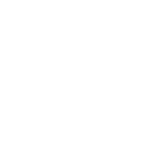 Sales-Careers sales icon